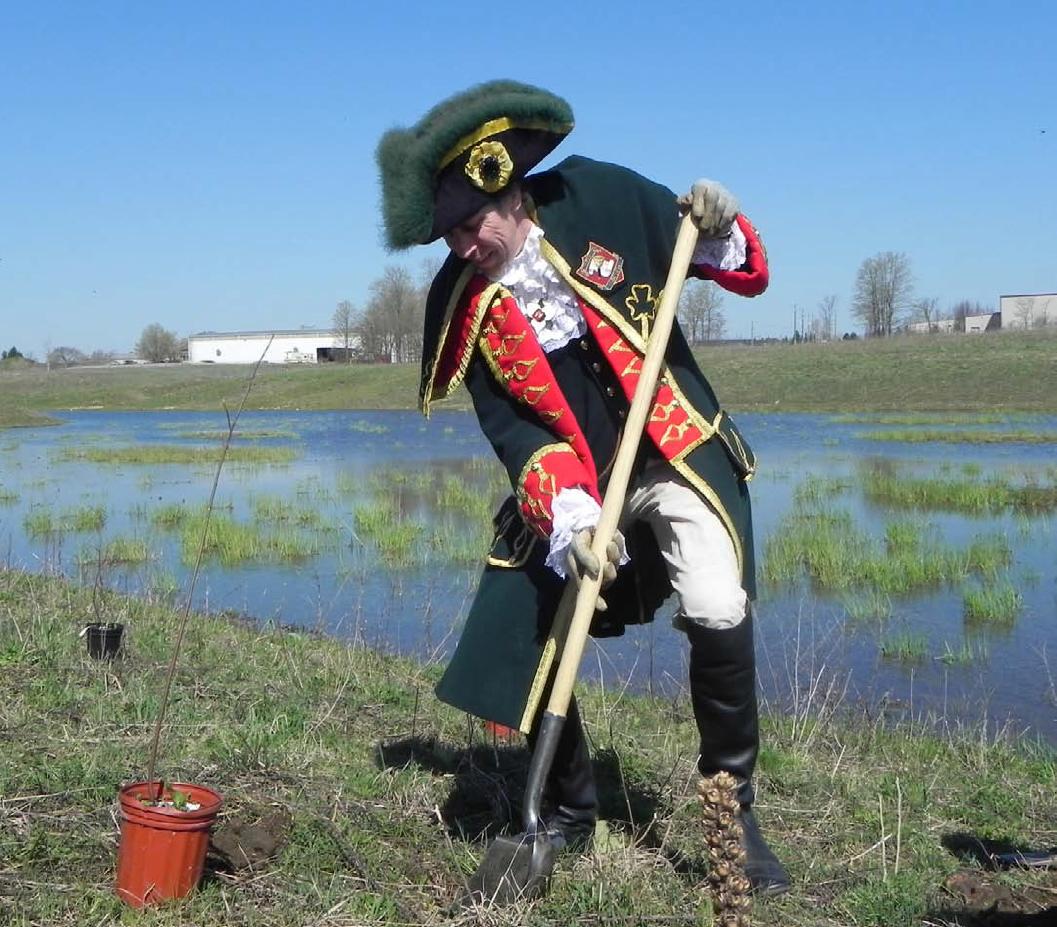 Town Crier planting a tree
